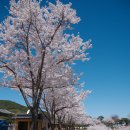 산청전통한방휴양관광지 | 전통한방휴양관광지 - 동의보감촌