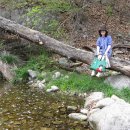 개울건너 이미지