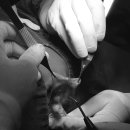 아띠 동물의료센터 이미지