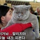 가즈아 이미지