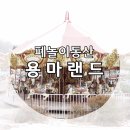 용마세탁소 | [서울/망우/서울가볼만한곳] 용마랜드 출사: 겨울 놀이동산, 용마랜드에서 인생사진 찍기❤️