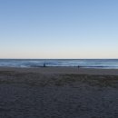 강문바다 이미지