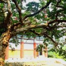 그림풍경 이미지