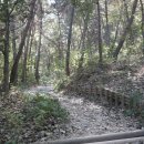 옻골다목적구장 이미지