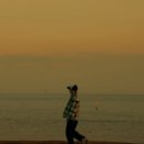 미세즈주 네이버블로그