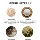 40 | 흑백 요리사2 최강록 셰프 소주 네오 40 블랙 후기