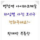 왕대박부동산공인중개사사무소 이미지