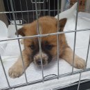 소답동225 이미지