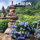 경남발전연구원식당 | 합천 천불천탑 수국축제 실시간 개화상황 7월 경남 가볼만한곳