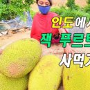제이분식 네이버블로그