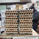성경도매마트