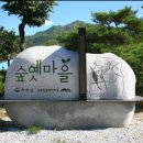 미스터Lee 이미지