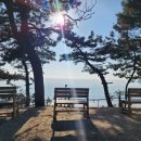 큰복골3 이미지