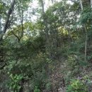 고지소류지 이미지