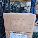 희성상사