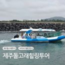 제주아이투어 | 제주투어 추천 제주돌고래힐링투어 아이와 다녀온 후기