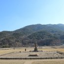 보원목장 이미지