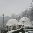 카페5번지 이미지