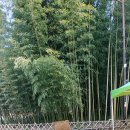 민속광장 이미지