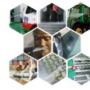 크린피아세차장 이미지