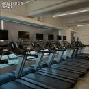 레디바디 이미지