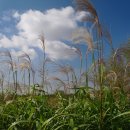 고운드림 이미지