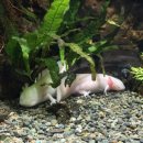 해운대물고기 | 🌊 부산 해운대 핫플! SEA LIFE 씨라이프-부산 아쿠아리움 리얼 방문 후기