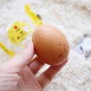 아침 주식회사 이미지