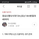 검심신형낚시대13mor14m받침대48파이 이미지