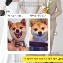 그린농장 이미지