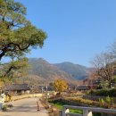 명품옻골1616협동조합 이미지