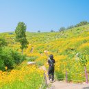 지세포로 이미지