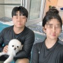 가평 애견풀빌라|멍스빌리지풀빌라 1박 2일 후기