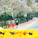 엄마의 청춘 이미지