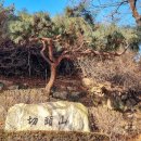 한국천주교순교자박물관 | 화백의 <예수의 생애>– 한국적 성화로 다시 읽는 복음의 여정 / 한국천주교순교자박물관 / 절두산순교성지