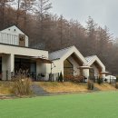 메리도그하우스 이미지