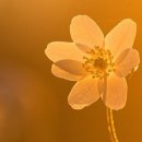 260407 묵상글 ( 부활 팔일 축제 화요일. - 부활 시기의 회개. 등 ) 이미지