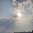 산책하는날 이미지