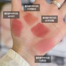 카야헤어 | 롬앤 블러 퍼지 틴트 로지엔탈 언로즈 (롬앤 카야피그 어뮤즈 듀벨벳 생장미 비교)