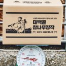 주식회사 태백골 네이버블로그