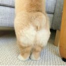 본소마메드짐운정점 이미지