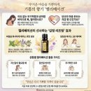 내일도조이풀 | [기분 오일 Day 1] 엘리베이션, 무거운 마음을 가뿐하게 들어 올리는 '기쁨의 향기'