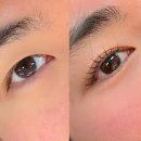 헤어미용기능사(자격증과정 / 주간) | 분당미용학원 국제직업전문학교 방문 후기｜성남헤어국비·분당네일국비 상담 팁 모음