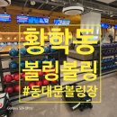 캐슬당구장 | 신당역에서 이렇게 넓은 볼링장이? 프라이빗 공간대여 가능한 황학동볼링장<볼링볼링>