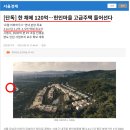 내곡동300 이미지