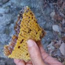 박진옥농장 이미지