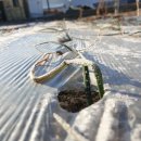 두리하나영농조합법인 이미지