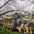 온천천일대5 이미지