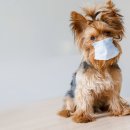 잠실동물병원 이미지