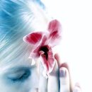 김광석 빛 길 이미지